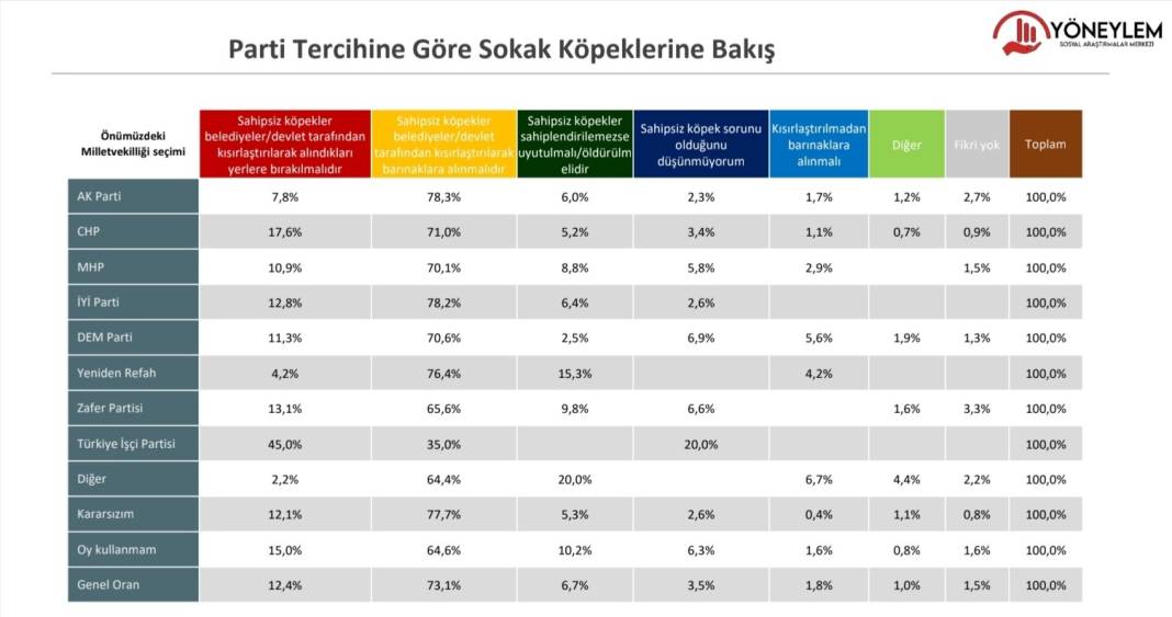 Yöneylem araştırdı: AKP seçmeni de sokak hayvanlarının öldürülmesini istemiyor 5